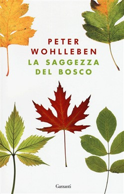 LA SAGGEZZA DEL BOSCO