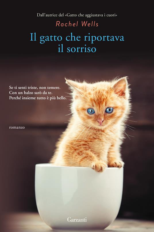 IL GATTO CHE RIPORTAVA IL SORRISO