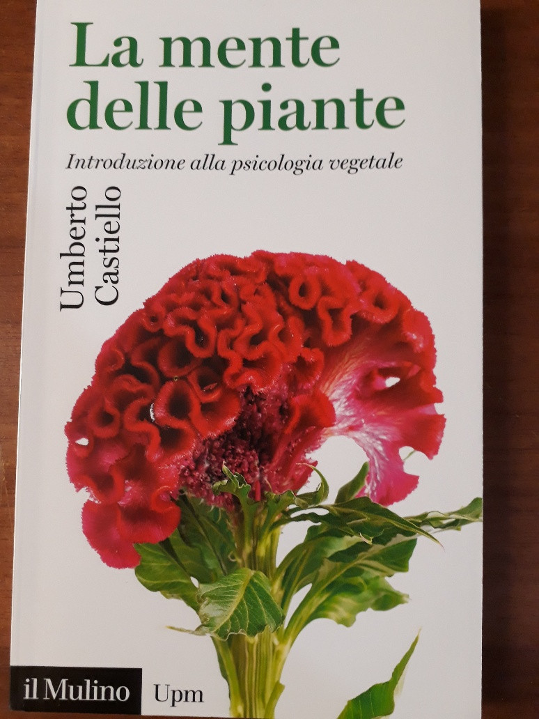 LA MENTE DELLE PIANTE