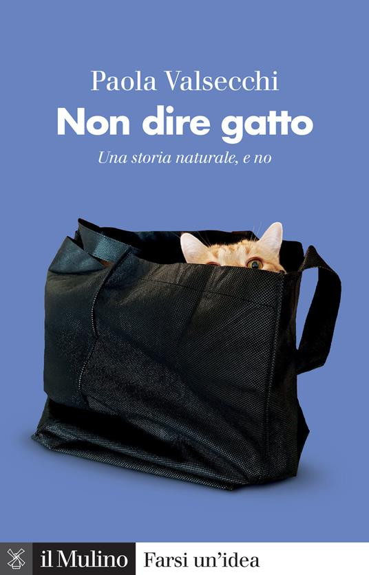 NON DIRE GATTO