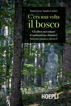 C ERA UNA VOLTA IL BOSCO