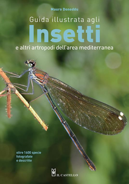 INSETTI E ALTRI ARTROPODI DELL AREA MEDITERRANEA