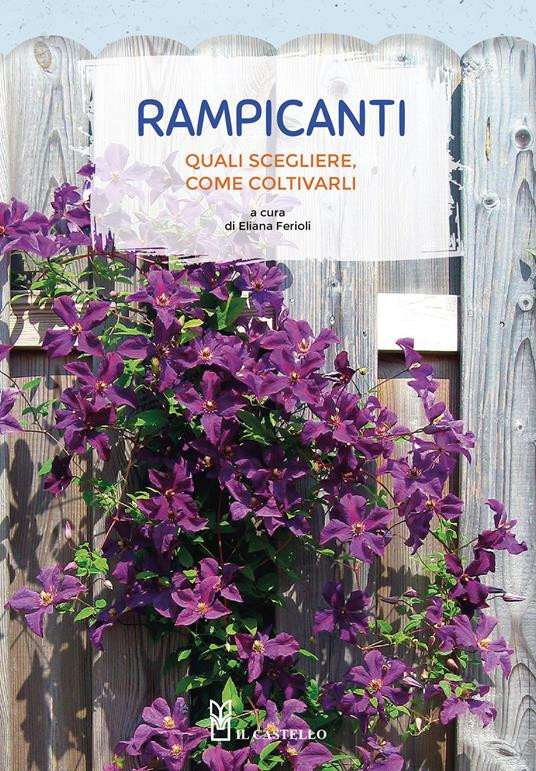 RAMPICANTI QUALE SCEGLIERE COME COLTIVARLI