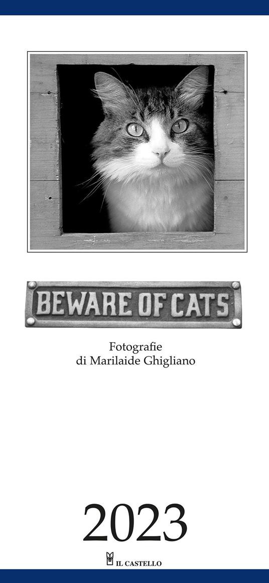 BEWARE OF CATS 2023