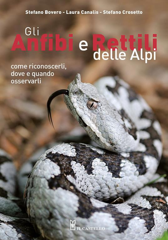 GLI ANFIBI E RETTILI DELLE ALPI