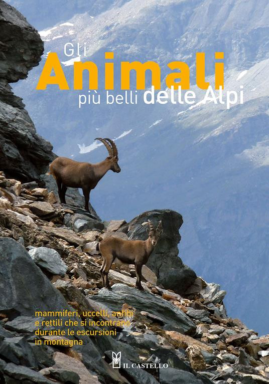 GLI ANIMALI PIU BELLI DELLE ALPI