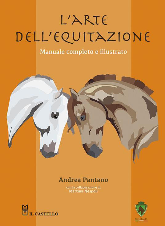 L ARTE DELL EQUITAZIONE