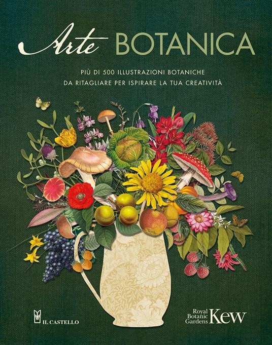 ARTE BOTANICA