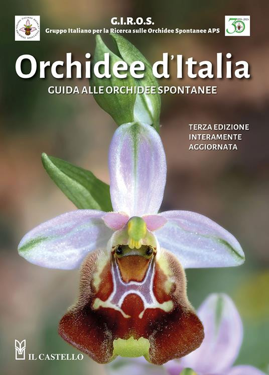 ORCHIDEE D ITALIA