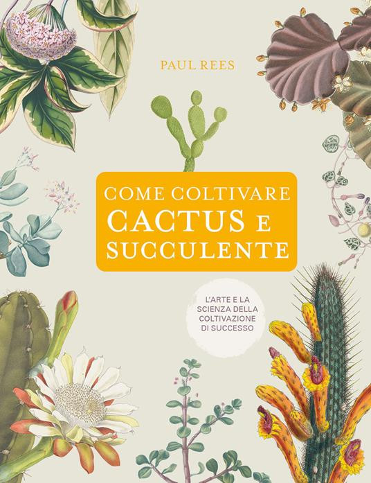 COME COLTIVARE CACTUS E SUCCULENTE