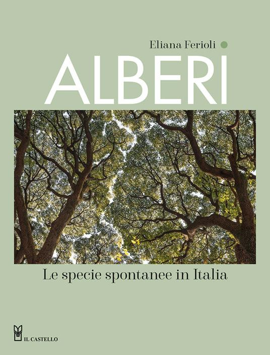ALBERI