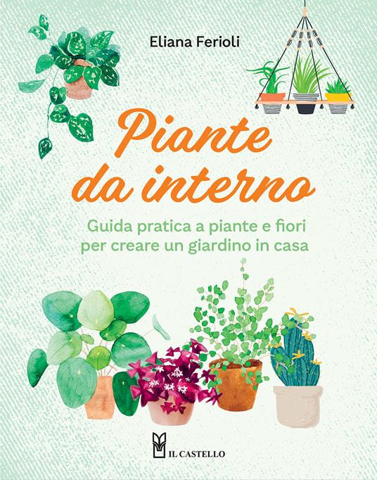 PIANTE DA INTERNO