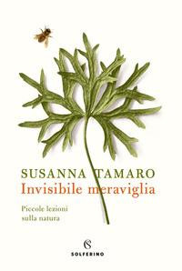 INVISIBILE MERAVIGLIA