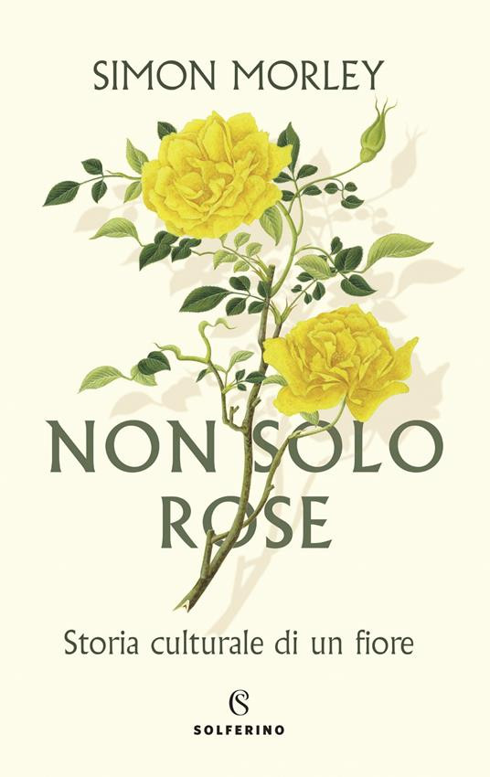 NON SOLO ROSE