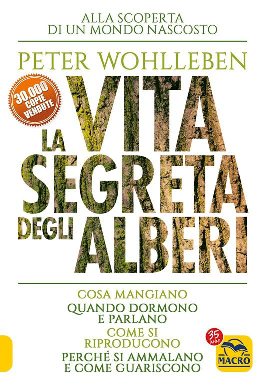 LA VITA SEGRETA DEGLI ALBERI