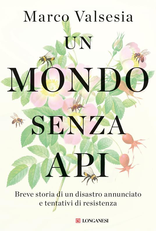 UN MONDO SENZA API