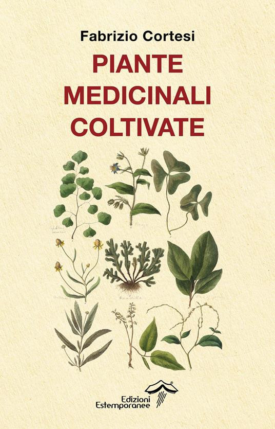 PIANTE MEDICINALI COLTIVATE