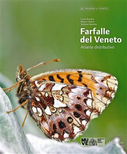 FARFALLE DEL VENETO