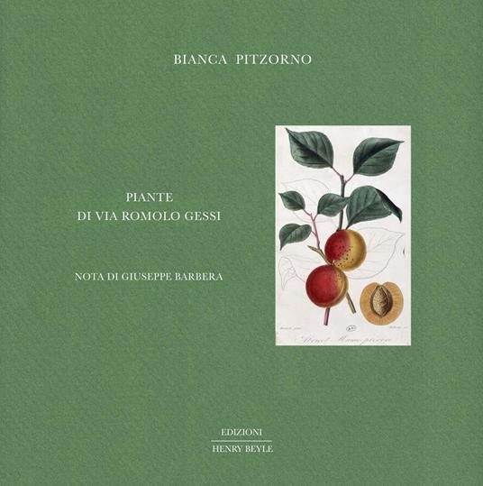 PIANTE DI VIA ROMOLO GESSI