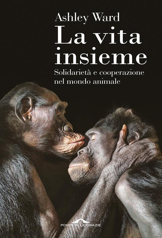 LA VITA INSIEME