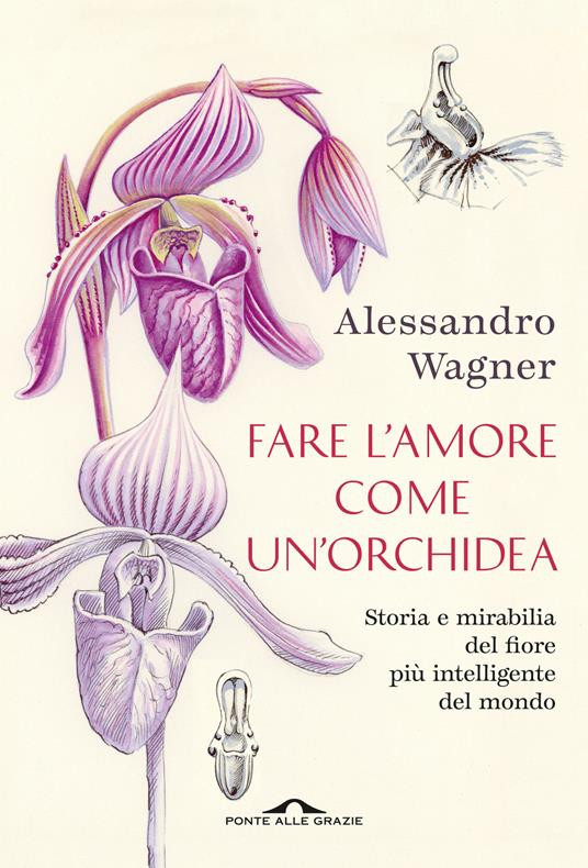 FARE L AMORE COME UN ORCHIDEA