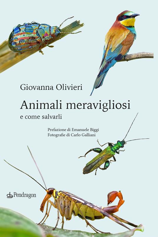 ANIMALI MERAVIGLIOSI