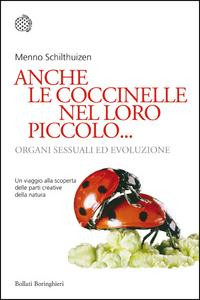 ANCHE LE COCCINELLE NEL LORO PICCOLO