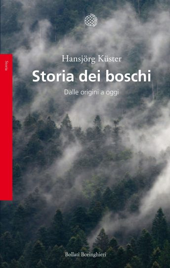 STORIA DEI BOSCHI