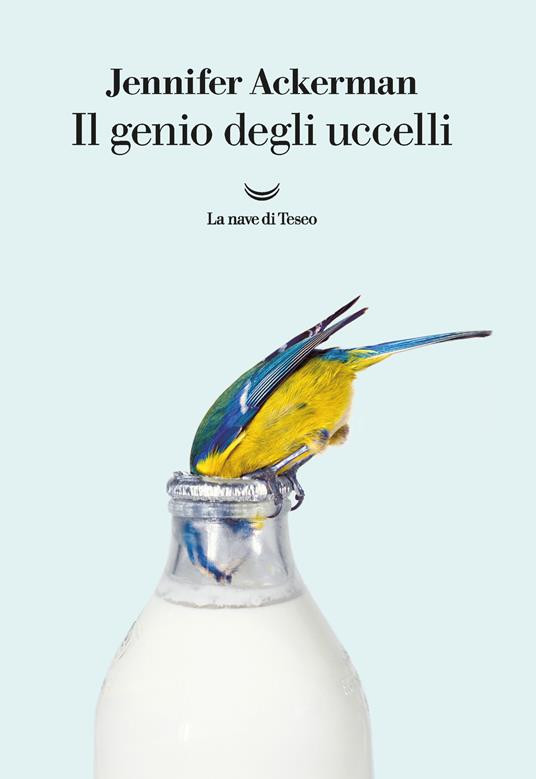 IL GENIO DEGLI UCCELLI