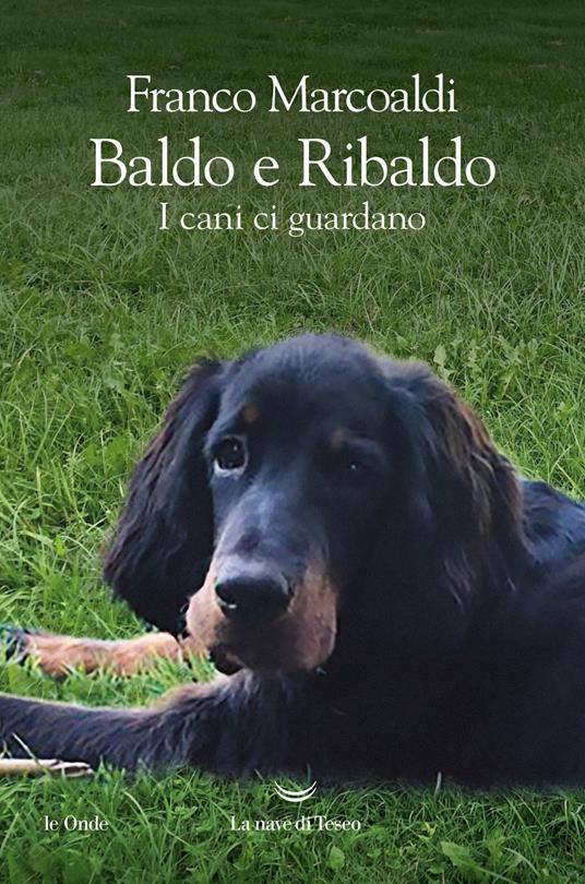 BALDO E RIBALDO