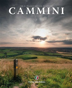 CAMMINI