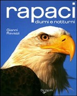 RAPACI DIURNI E NOTTURNI