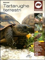 TARTARUGHE TERRESTRI