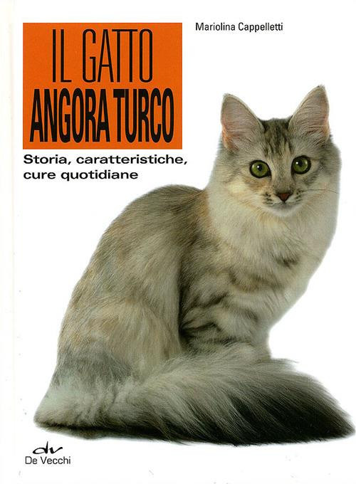 GATTO ANGORA TURCO