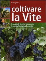 COLTIVARE LA VITE