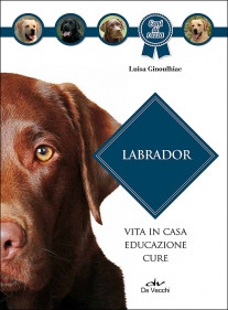 LABRADOR