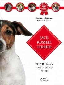JACK RUSSEL TERRIER