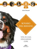 BOVARO DEL BERNESE