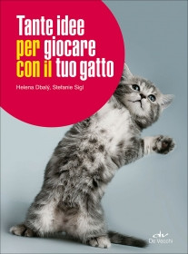 TANTE IDEE PER GIOCARE CON IL TUO GATTO