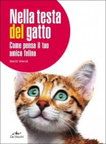 NELLA TESTA DEL GATTO