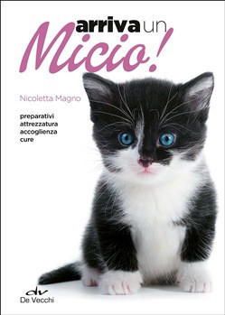 ARRIVA UN MICIO