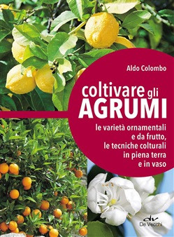 COLTIVARE GLI AGRUMI