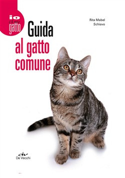 GUIDA AL GATTO COMUNE