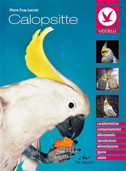 CALOPSITTE