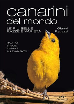 CANARINI DEL MONDO