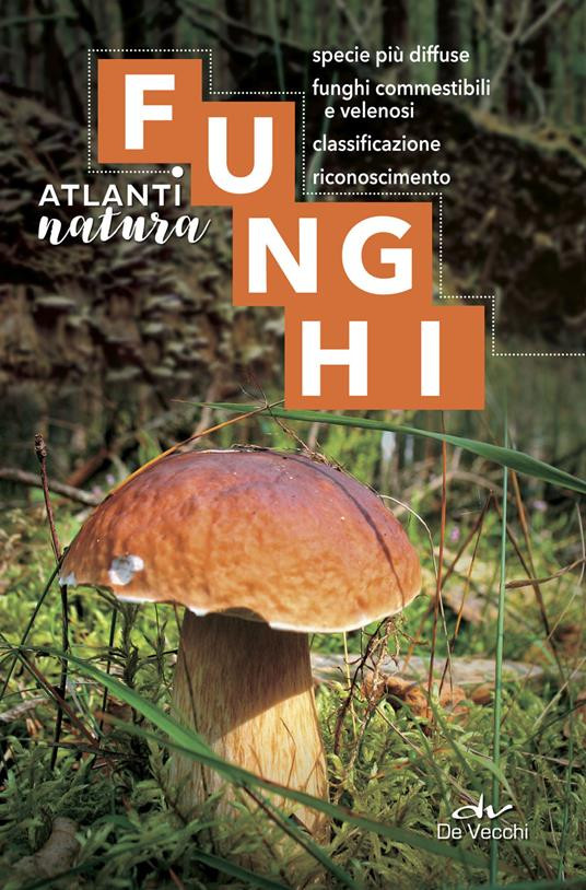 ATLANTI NATURA FUNGHI