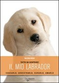 MIO LABRADOR