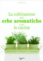 COLTIVARE LE ERBE AROMATICHE PER LA CUCINA