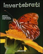 INVERTEBRATI ATLANTE FOTOGRAFICO ANIMALI