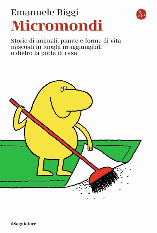 MICROMONDI